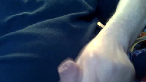 Snapshot of marko_th chatting on 02/08/26, 11:19 marko_th online show from 02/08/26, 11:19