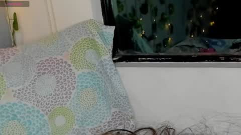 marly online show from 01/17/25, 05:53