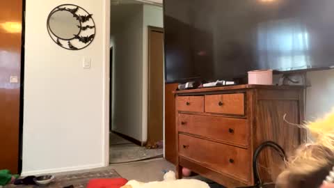 Snapshot of maroon_moon chatting on 02/14/25, 04:09 maroon_moon online show from 02/14/25, 04:09