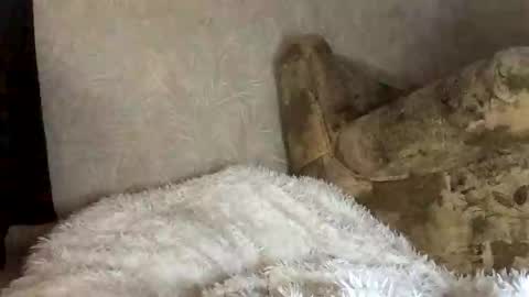 Marta online show from 11/27/25, 07:54