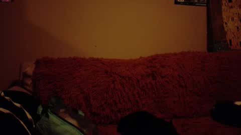     online show from 03/08/26, 07:56