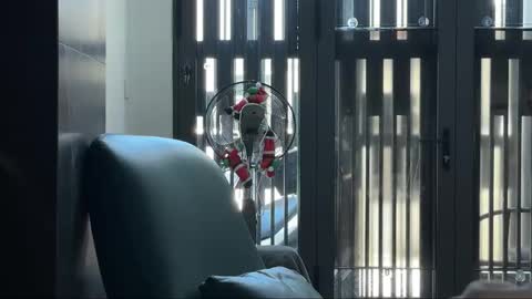 Telegram - FlyingDutchmana online show from 03/27/26, 05:24