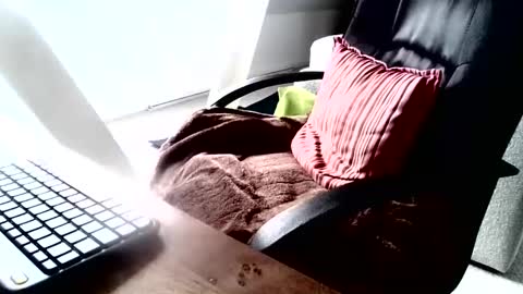 maskime59 online show from 12/09/24, 09:06