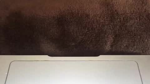 massivehungbigdick online show from 06/02/26, 09:06