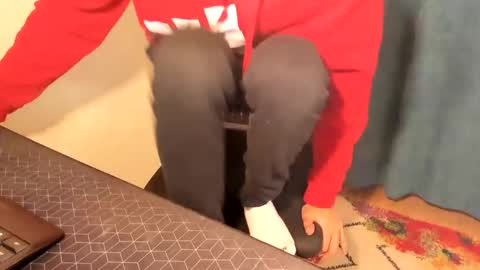 Silly Rabbit  online show from 12/15/24, 08:15