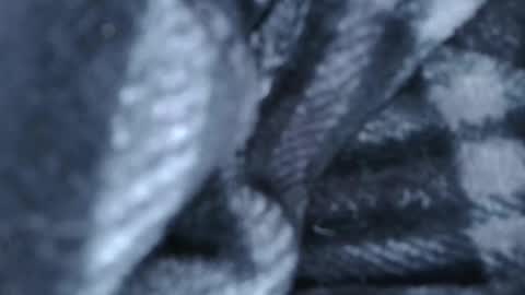 alex online show from 03/28/26, 01:27