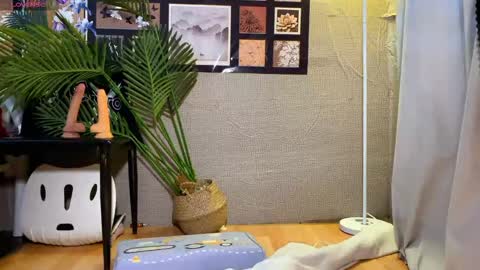 SuSu online show from 01/16/26, 03:32