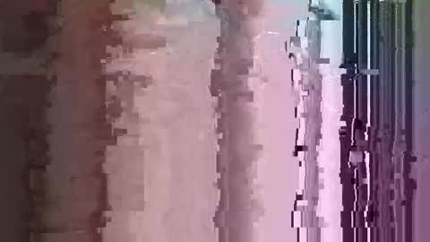 maththebear96 online show from 04/13/26, 03:01