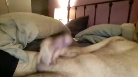 matrixdog69 online show from 11/04/25, 04:06