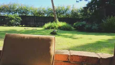 Matt Sweet online show from 01/14/26, 02:23