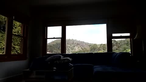 mattlesnake_101 online show from 02/15/26, 12:40