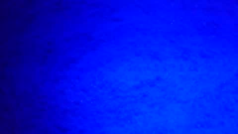 Snapshot of mauriciano2018 chatting on 12/29/24, 08:22 Ignacio online show from 12/29/24, 08:22