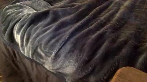 Snapshot of mauriciano2018 chatting on 10/09/25, 03:59 Ignacio online show from 10/09/25, 03:59