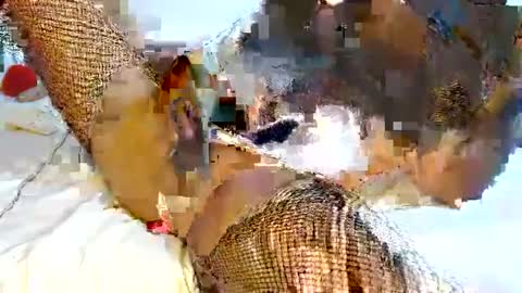 Snapshot of mauroo_sex chatting on 02/06/25, 06:02 mauro sex online show from 02/06/25, 06:02