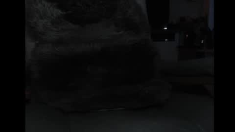 mav1962 online show from 04/05/26, 06:05