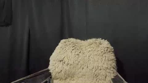 Snapshot of maximus_oreally chatting on 01/07/25, 11:16 Max online show from 01/07/25, 11:16