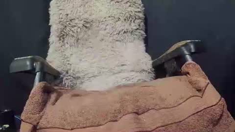 Snapshot of maximus_oreally chatting on 01/08/25, 09:34 Max online show from 01/08/25, 09:34