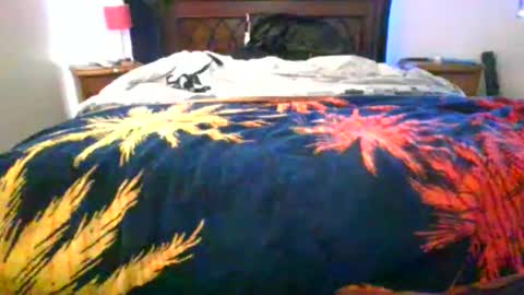 Max online show from 02/05/26, 08:19