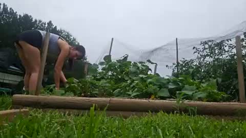 Mazey Rayne online show from 07/28/26, 03:54