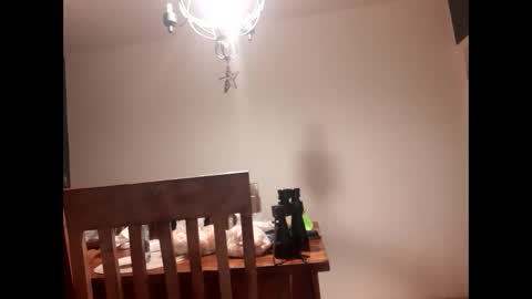 Snapshot of mccock16cm chatting on 02/16/25, 03:47 mccock16cm online show from 02/16/25, 03:47