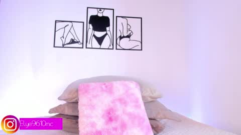 Snapshot of mcdonald_ellie chatting on 05/26/26, 10:17 Ellie online show from 05/26/26, 10:17