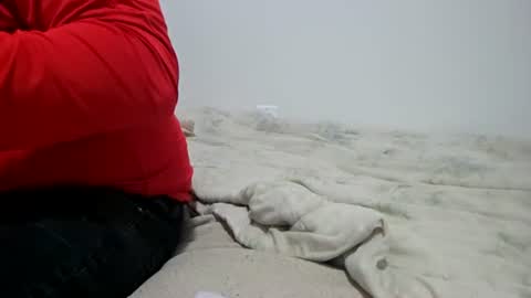 McFly online show from 04/28/26, 02:27