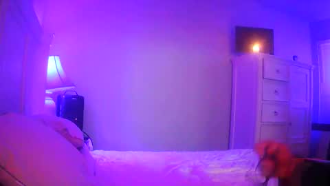 mecrago online show from 01/14/26, 08:09