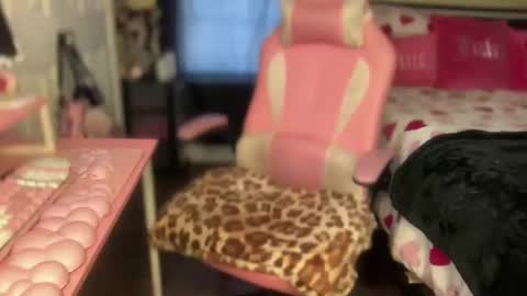 Southern Peach online show from 02/06/26, 07:50