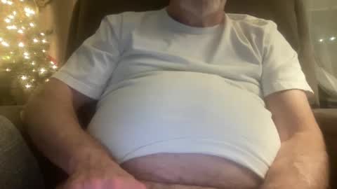 Snapshot of megabigkahuna chatting on 12/26/24, 06:19 whatever you want it to be online show from 12/26/24, 06:19