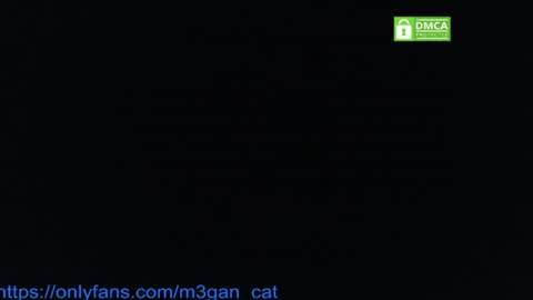megan_cat online show from 07/04/26, 05:19