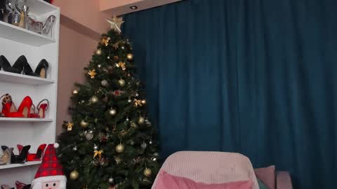 Megan online show from 12/23/24, 06:55