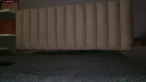     online show from 01/19/26, 11:58