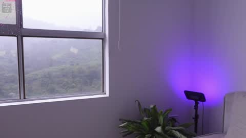 meiis3 online show from 01/09/25, 09:05