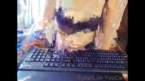 meimei_888 online show from 01/17/26, 02:11