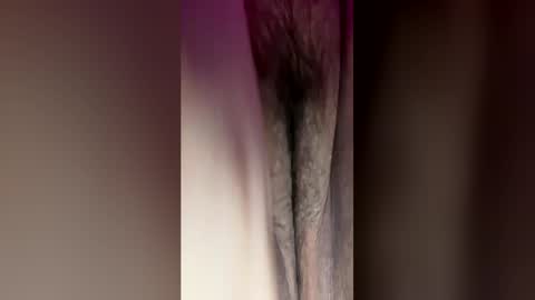 mel_fme2 online show from 04/19/26, 05:29