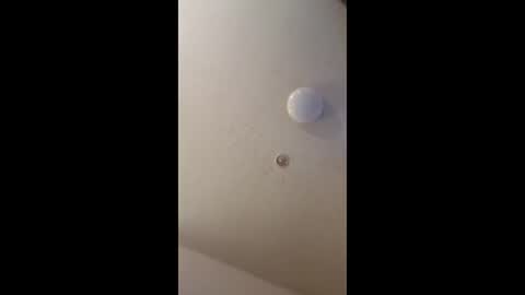 mel_hart_jr online show from 05/18/26, 07:09
