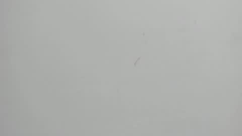 Melani  online show from 02/26/25, 08:33