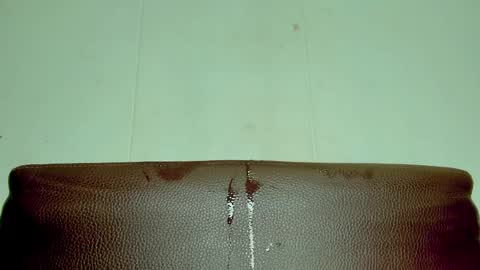 Melania online show from 04/12/26, 04:01