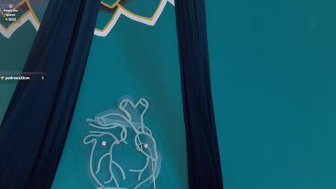 Melany online show from 01/22/25, 02:56