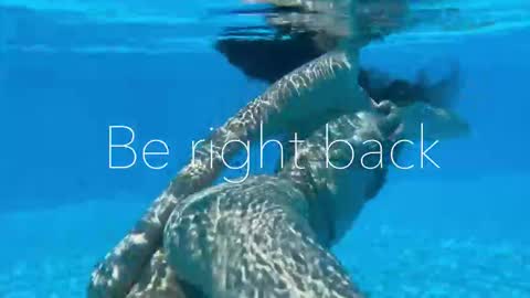 Adel online show from 11/03/25, 09:48