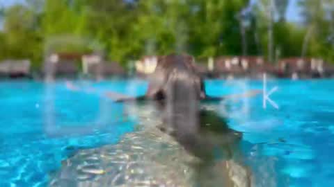 Snapshot of melanybunny chatting on 02/28/26, 06:09 Adel online show from 02/28/26, 06:09