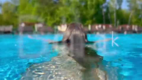 Adel online show from 04/20/26, 06:53