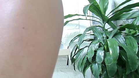 Melissa online show from 01/23/25, 11:37