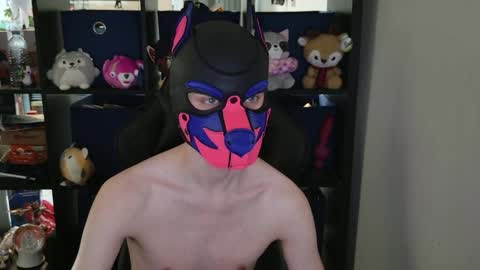 Snapshot of mellpup chatting on 04/29/26, 06:36 MellPUP online show from 04/29/26, 06:36