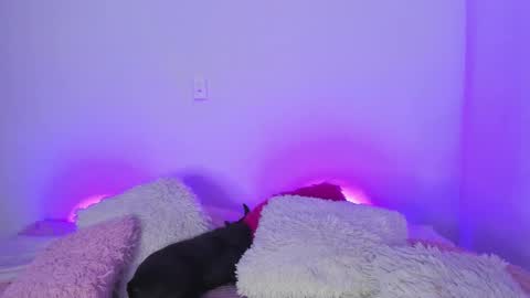    online show from 03/05/25, 04:56