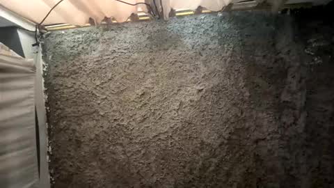 melodysnow online show from 01/15/26, 06:11