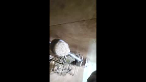 men_seeker online show from 02/12/26, 12:49