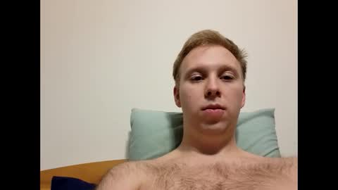 meow732 online show from 11/06/25, 12:22