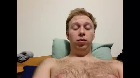 meow732 online show from 11/26/25, 03:18