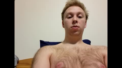 meow732 online show from 12/04/25, 03:38